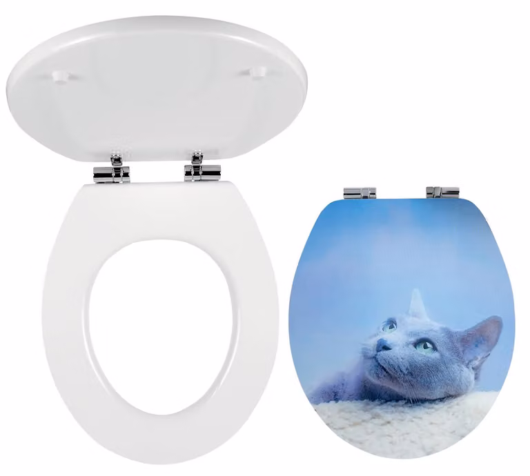 Sedile WC Novaservis, MDF con stampa, cerniere in metallo cromato WC/SOFT3D