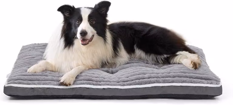Cuccia per cani, 97x70 cm, grigia, in peluche, antiscivolo, ideale per il soggiorno