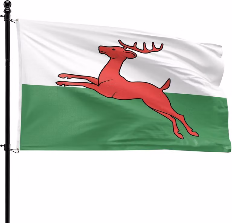 Bandiera del comune di Smallingerland, 90 x 150 cm, in poliestere, adatta per l'asta di bandiera