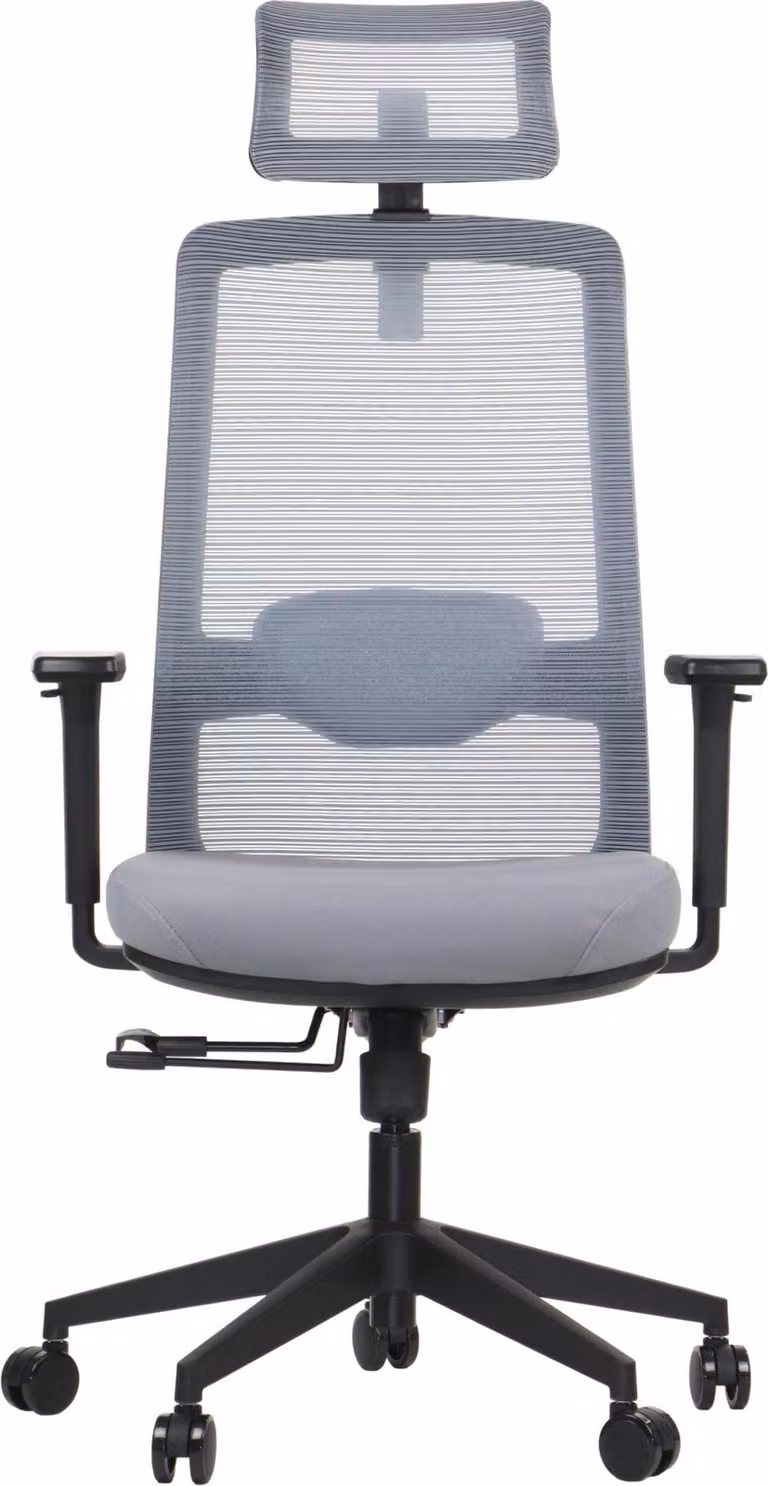 Sedia girevole ergonomica da ufficio WISTER, base in nylon, braccioli regolabili, poggiatesta e supporto lombare, estensione del sedile, grigio