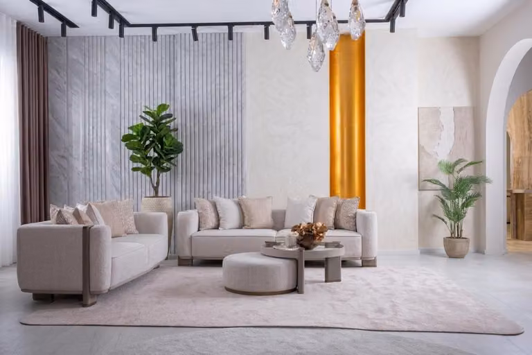 Set per soggiorno: divani, tavolino, design moderno, elegante e confortevole