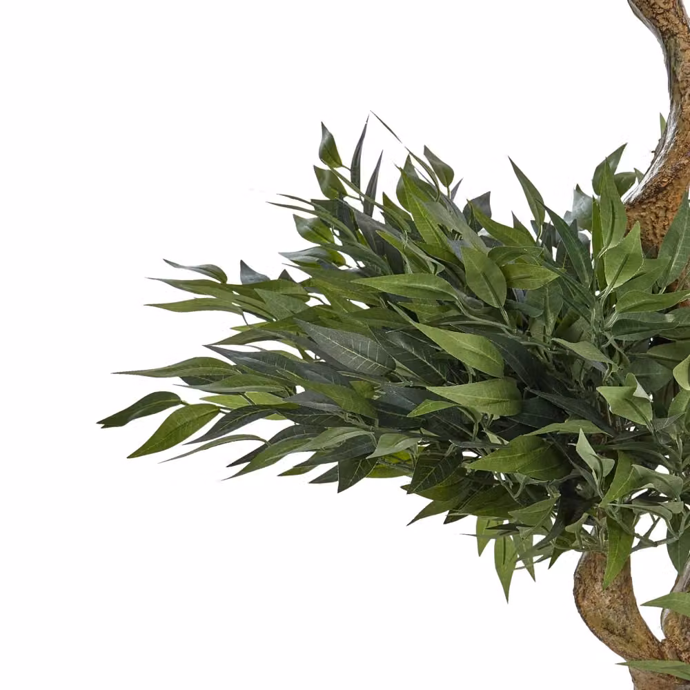 Pianta artificiale Ruscus verde in vaso di plastica e cemento BELIANI, Altezza: 166 cm – 2