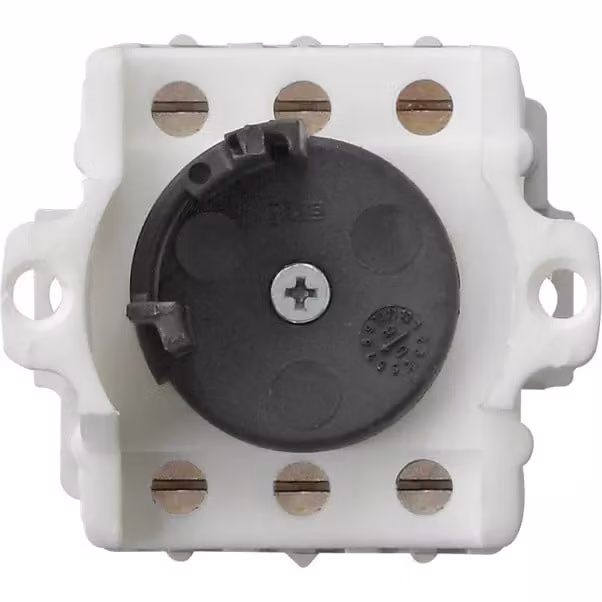 Gira 143400 Inserto per interruttore a chiave a 2 poli WG a vista