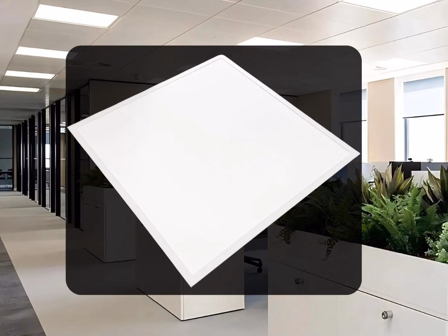 Pannello a LED retroilluminato, 40W, 595x595 mm, tecnologia SMD, 4000K, colore bianco - PL5224