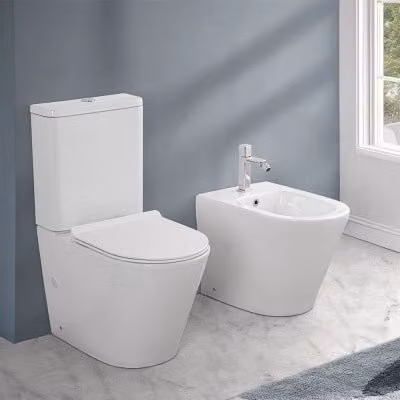 Sanitario monoblocco filomuro Rimless Tygo in ceramica bianco con sedile copriwc