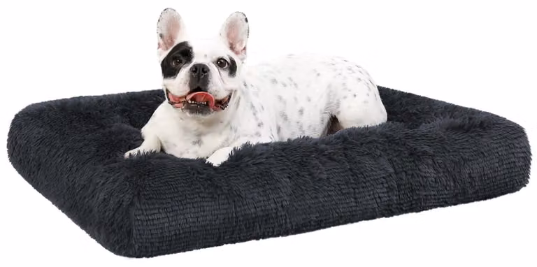 Solidchoice - Cuccia per cani imbottita, lavabile, con base antiscivolo, 76 x 52 cm