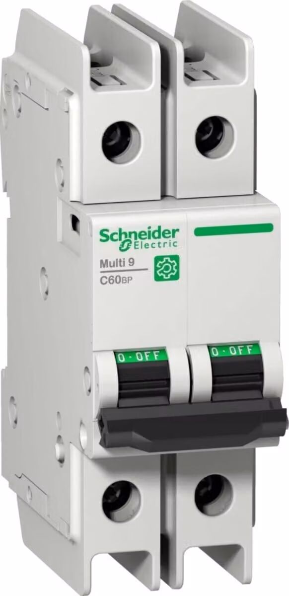Interruttore LS Schneider Electric Multi 9 OEM M9F42210