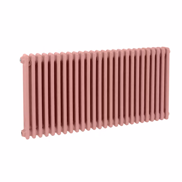 Radiatore Orizzontale a Colonne (2 Colonne) 600mm x 1190mm - Rosa (Camellia Rosa) - Regent
