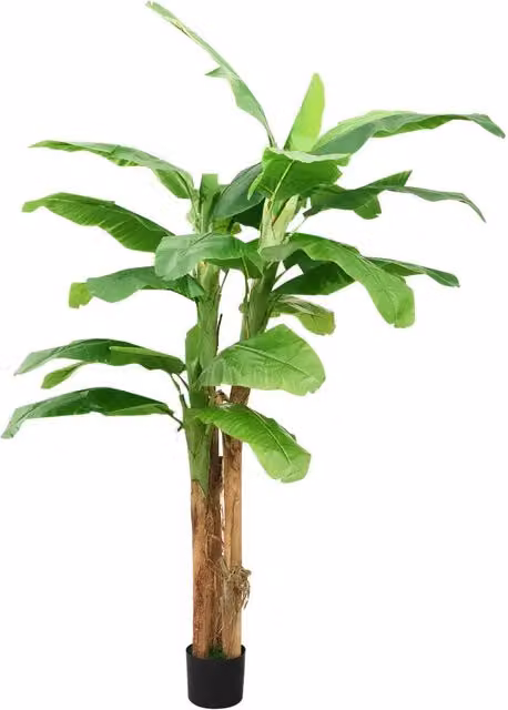 Albero di Banane Artificiale con Vaso 300 cm Verde 336315