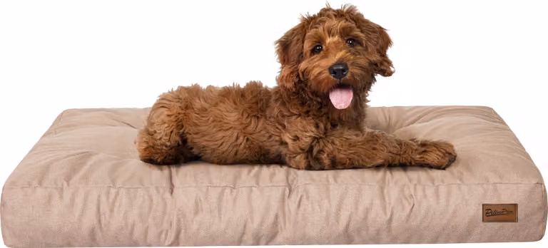 Materasso per cani "Grand Light" - 90x70cm - Cuccia idrorepellente - Rettangolare - Outdoor & Indoor | PillowPrim