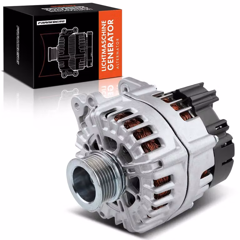 Generatore Dynamo Lichtmachine - 12 Volt, 220 Ampere - 2 poli, 6 alette - Dimensioni: 27x22x19 cm - Peso: 7,4 kg