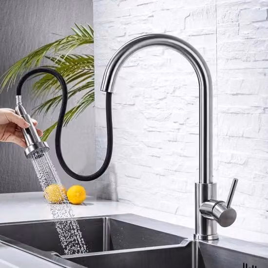 Cranio da cucina con 2 tipi di getto a spruzzo, miscelatore da cucina a 360° girevole in acciaio inox liscio, per vano cucina