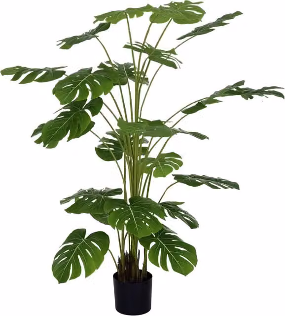 Pianta Artificiale 180 cm ¨C Xylo ¨C con Vaso e Muschio, Verde Realistico