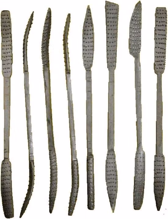 Set da 8 pezzi in legno e pietra pomice, comprendente lime e relativi accessori