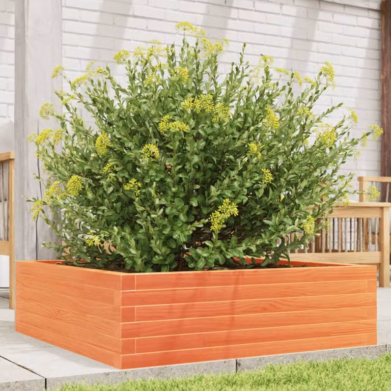 Fioriera da giardino vidaXL in legno di pino marrone, ideale per orto ornamentale o aromatico, L/P/H: 80 x 80 x 23 cm
