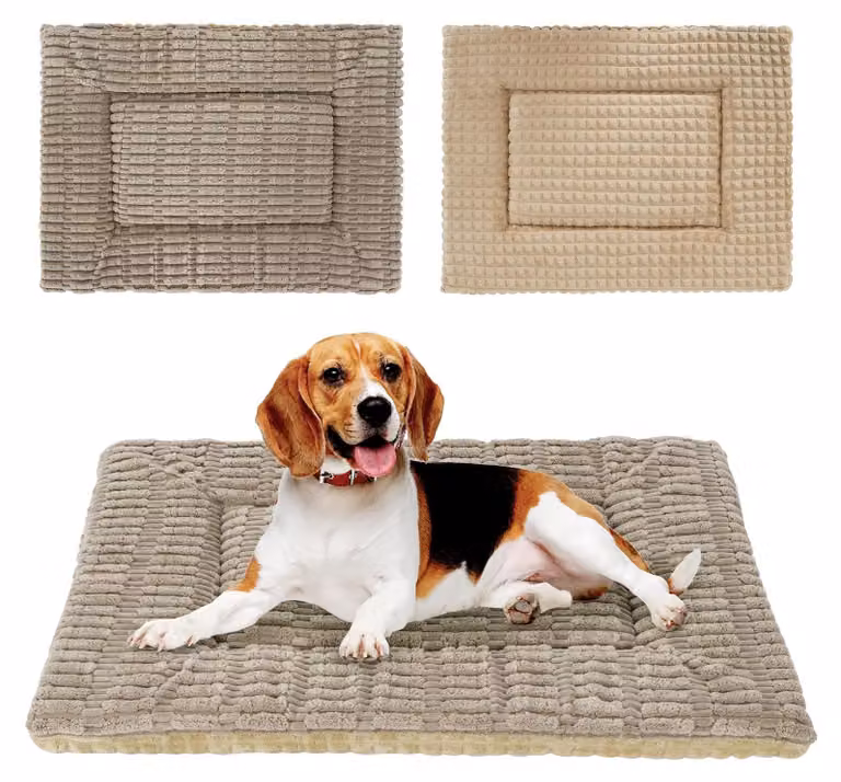 Omgoods: Cuccia per cani realizzata in memory foam, con coprimaterasso reversibile e lavabile
