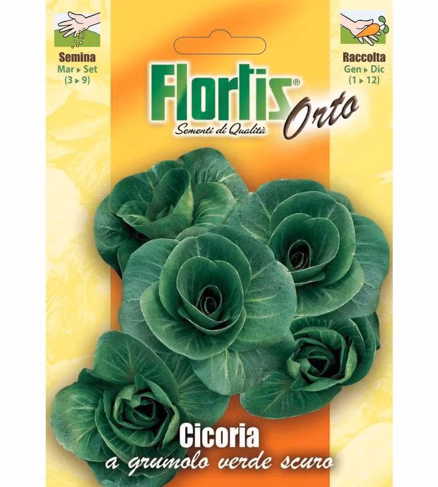 Flortis Semi Cicoria Grumolo Verde Scuro - Foglie larghe rotonde 1g