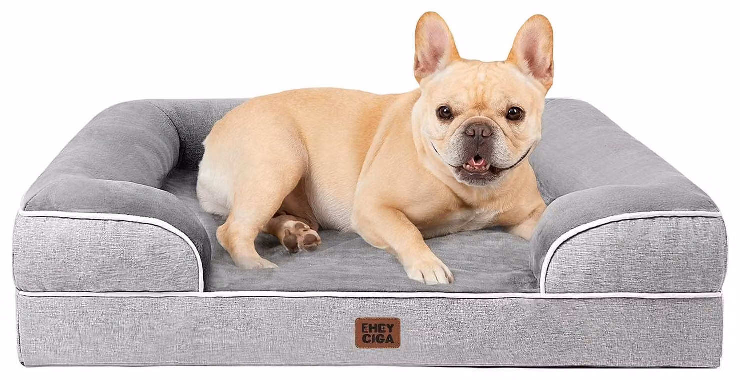 Elzusha - Cuccia ortopedica per cani di piccola e media taglia, realizzata con memory foam