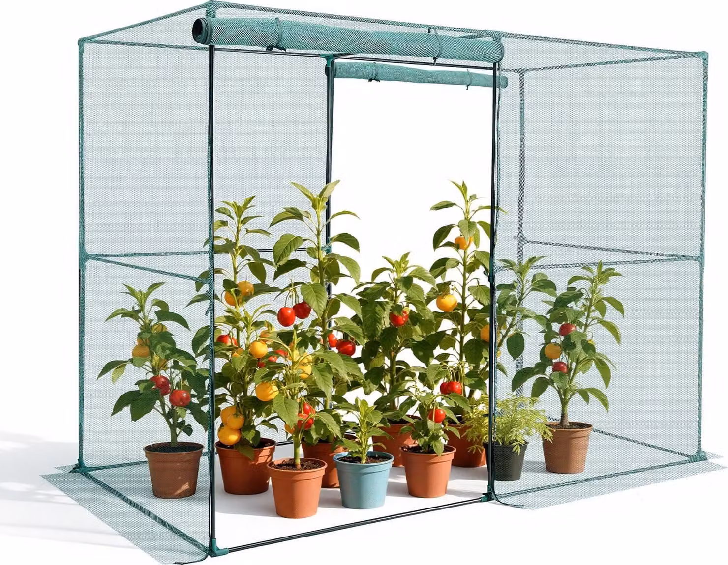 Tenda per la protezione delle piante - Serra con rete di protezione delle piante - Dimensioni 239,6 x 120 x 180 cm - Porta con cerniera - Per aiuole rialzate - Per giardino, terrazza e prato