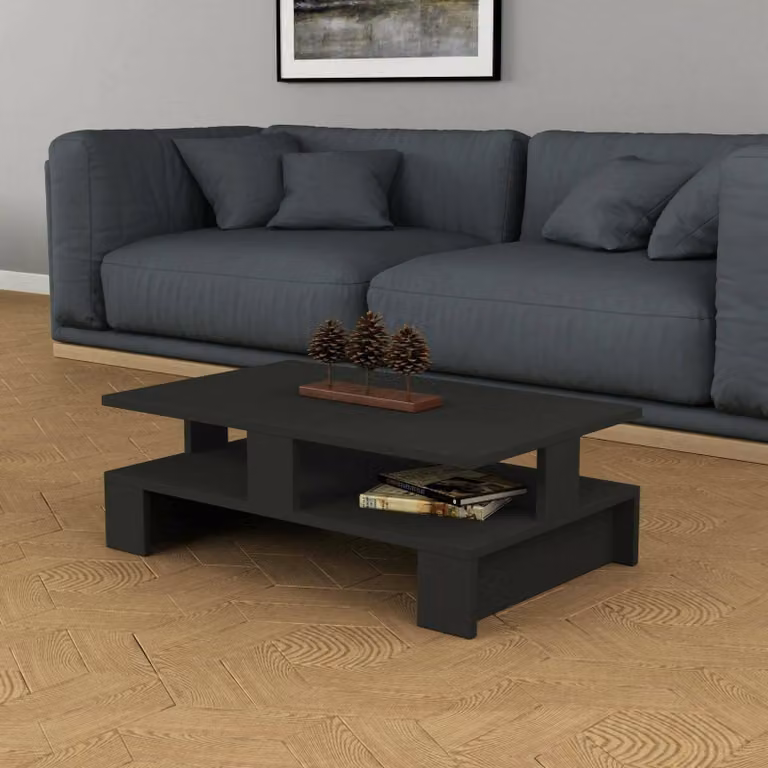 Dmora Tavolino da Salotto Telescopio 50x80x27.5h cm Nero Antracite, un Vano Portariviste