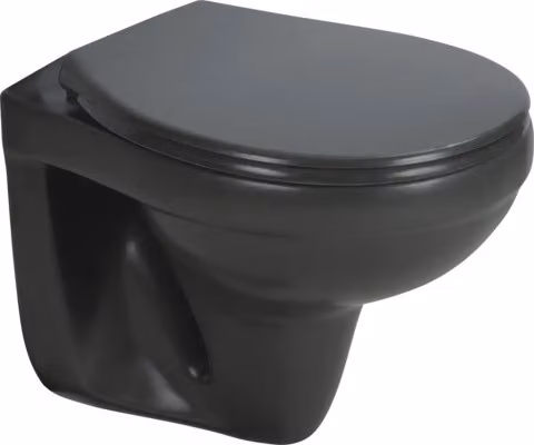 WC a parete sanicomfort antracite opaco senza brida, scarico a filo