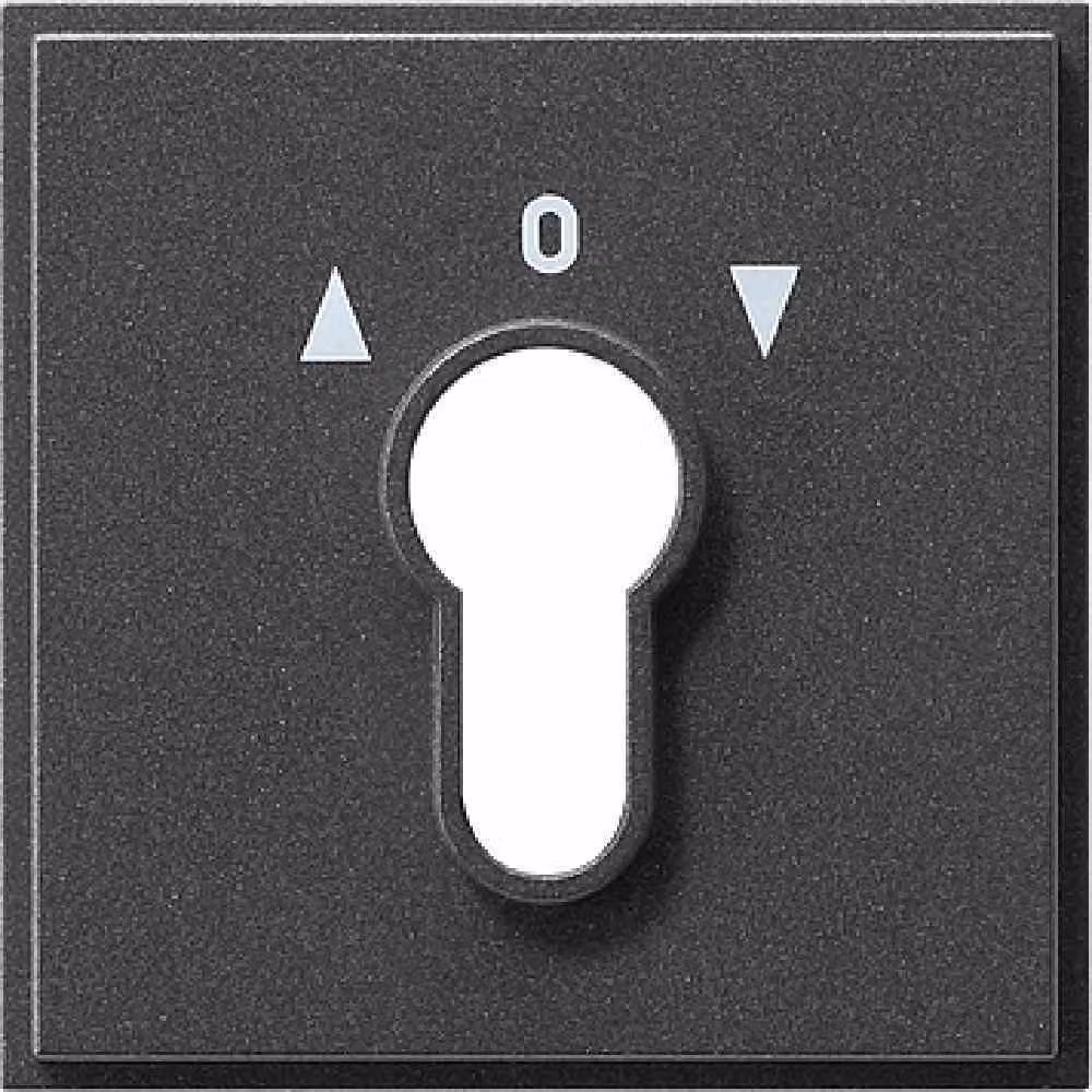 GIRA 066467 Accessori per interruttori elettrici (066467)