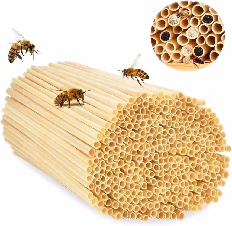 Tubi in paglia di grano, 14,5 cm, confezione da 500 pezzi, per api selvatiche