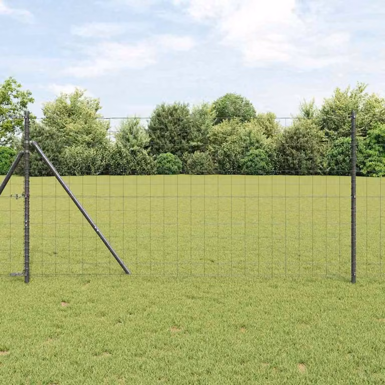 Maison Exclusive - Recinzione con Posto Grigio 1,2 x 10 m Acciaio