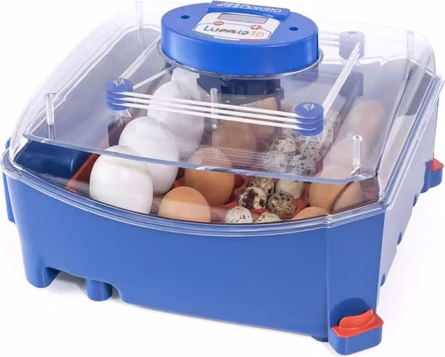 Incubatrice per uova termoisolante Biomaster Borotto Lumia 16 blu e trasparente