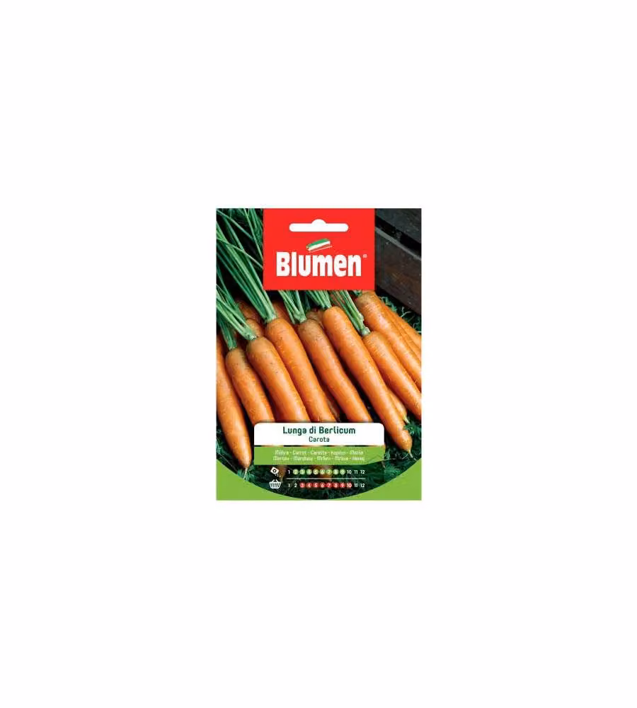 Blumen Semi Carota Lunga di Berlicum - Radice Cilindrica 21-23 cm Arancio