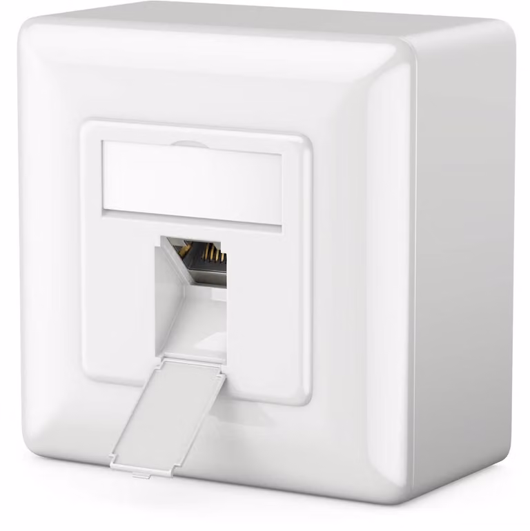 deleyCON, connettore di rete universale CAT6a, 1 porta RJ45, schermato, confezione da 1, colore bianco
