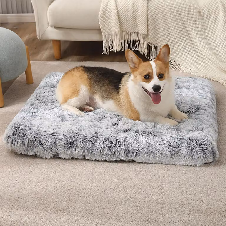Cuccia grigia accogliente - Cuscino morbido e confortevole per cani e cuccioli - Cuccia antiscivolo e lavabile, ideale per cani di tutte le taglie