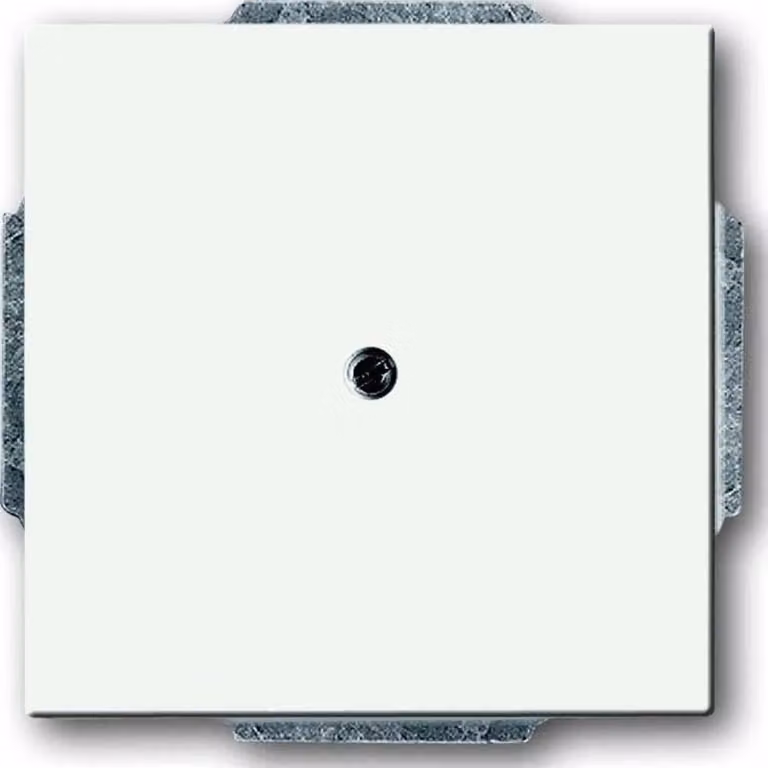 Busch-Jaeger Piastra centrale con copertura cieca con anello di supporto 1742-884