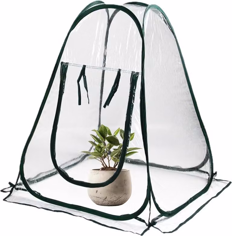 Mini serra, telo protettivo, dimensioni 70x70x80 cm, ideale per balconi e giardini
