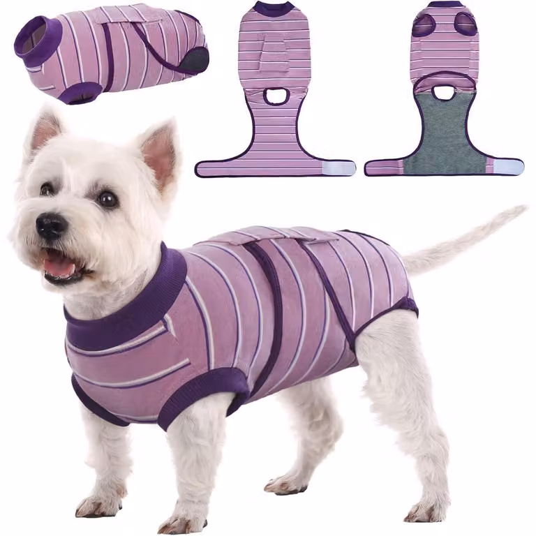 Body per cani, ideale dopo l'intervento chirurgico e la sterilizzazione, traspirante, anti-irritazioni, a righe viola, taglia XS