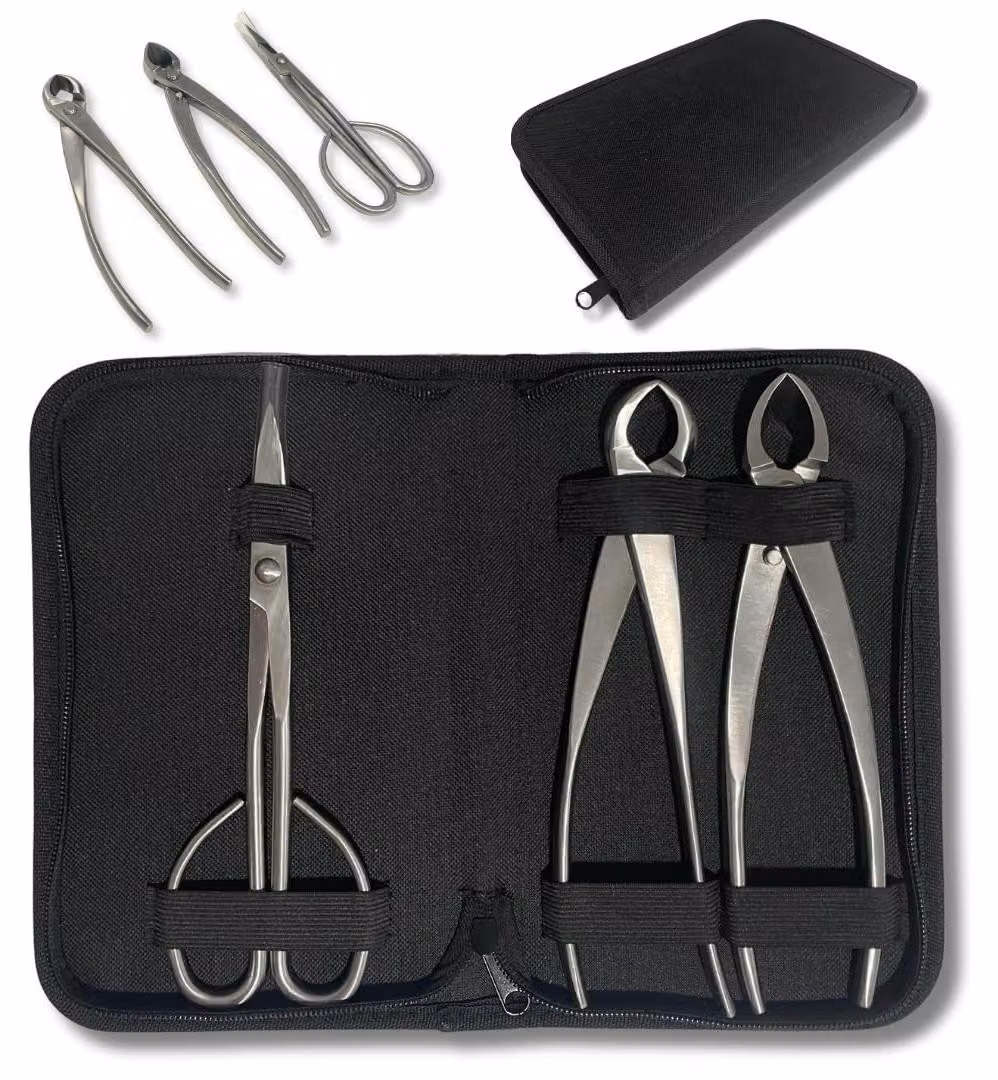 Omgoods - Set di strumenti professionali per bonsai, ideale per la manutenzione