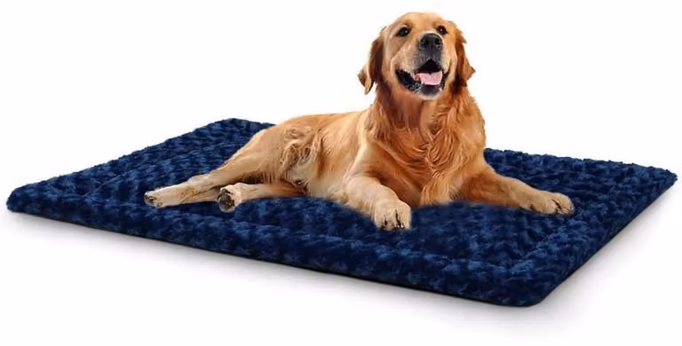 Tappetino lavabile per cani, taglia XL, 106x71 cm, colore blu, ideale per cani di grossa taglia
