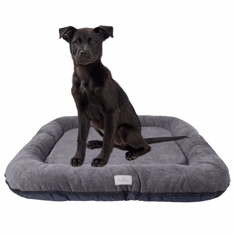 Cuccia per cani - Tappetino per cani impermeabile e lavabile in Codura | In & Outdoor per cani di taglia grande | Colore: Grafite, Misura XL: 105 x 85 cm