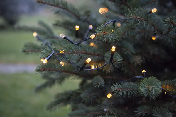 Star LED-Lichterkette 'Diamond Light', 80 ww LED,