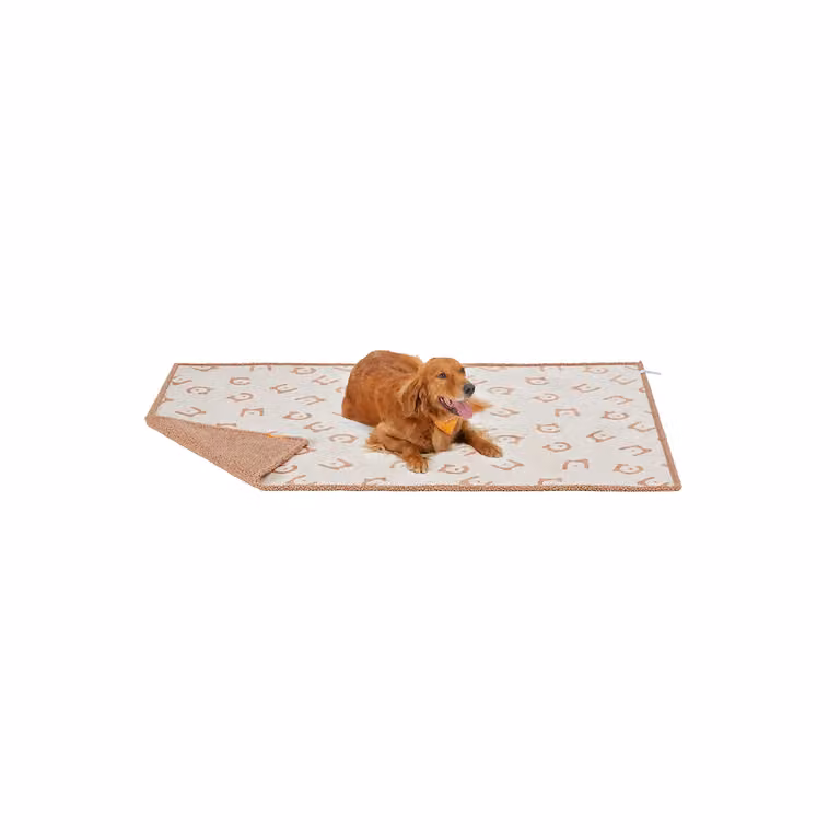 Coperta Impermeabile per Cani, Beige / XXL (203 x 152 cm)