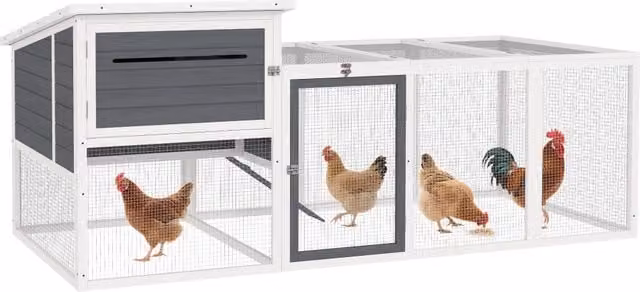 Pollaio per galline con casetta, nido per cova e area esterna in legno di abete laccato, Grigio, L: 214 cm, P: 101 cm, H: 91.5 cm