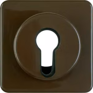 Berker 151911 Elemento centrale per interruttori a chiave/pulsanti, marrone lucido, versione da incasso, IP44
