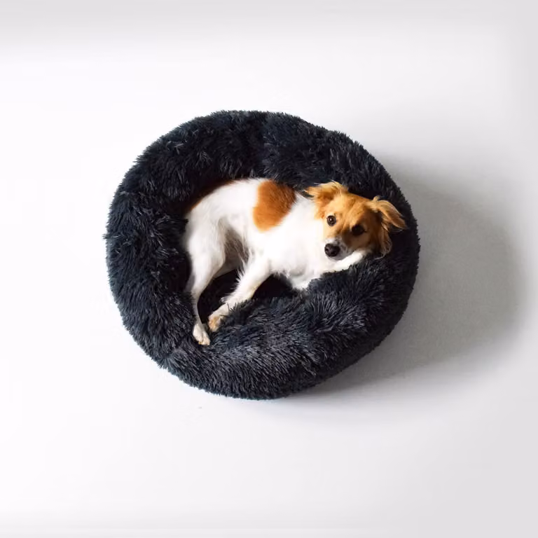Lenzuolo per letto italiano, cuccia per cani "Dreams, Petroleum", 60x60x26 cm