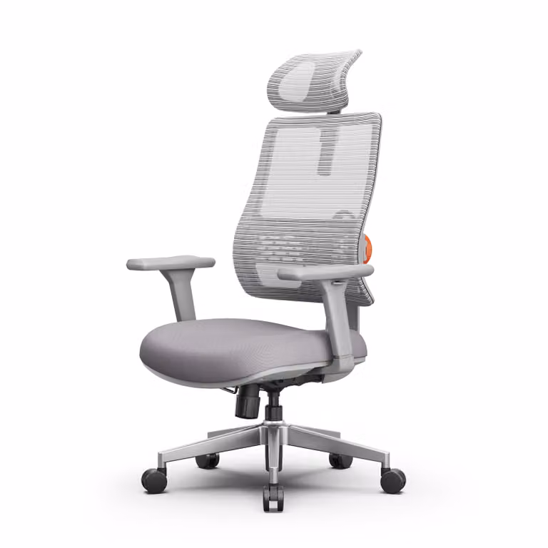 Newtral H003 Sedia ergonomica per ufficio, sedia da scrivania con schienale alto, esclusivo supporto lombare adattivo, poggiatesta regolabile Grigio