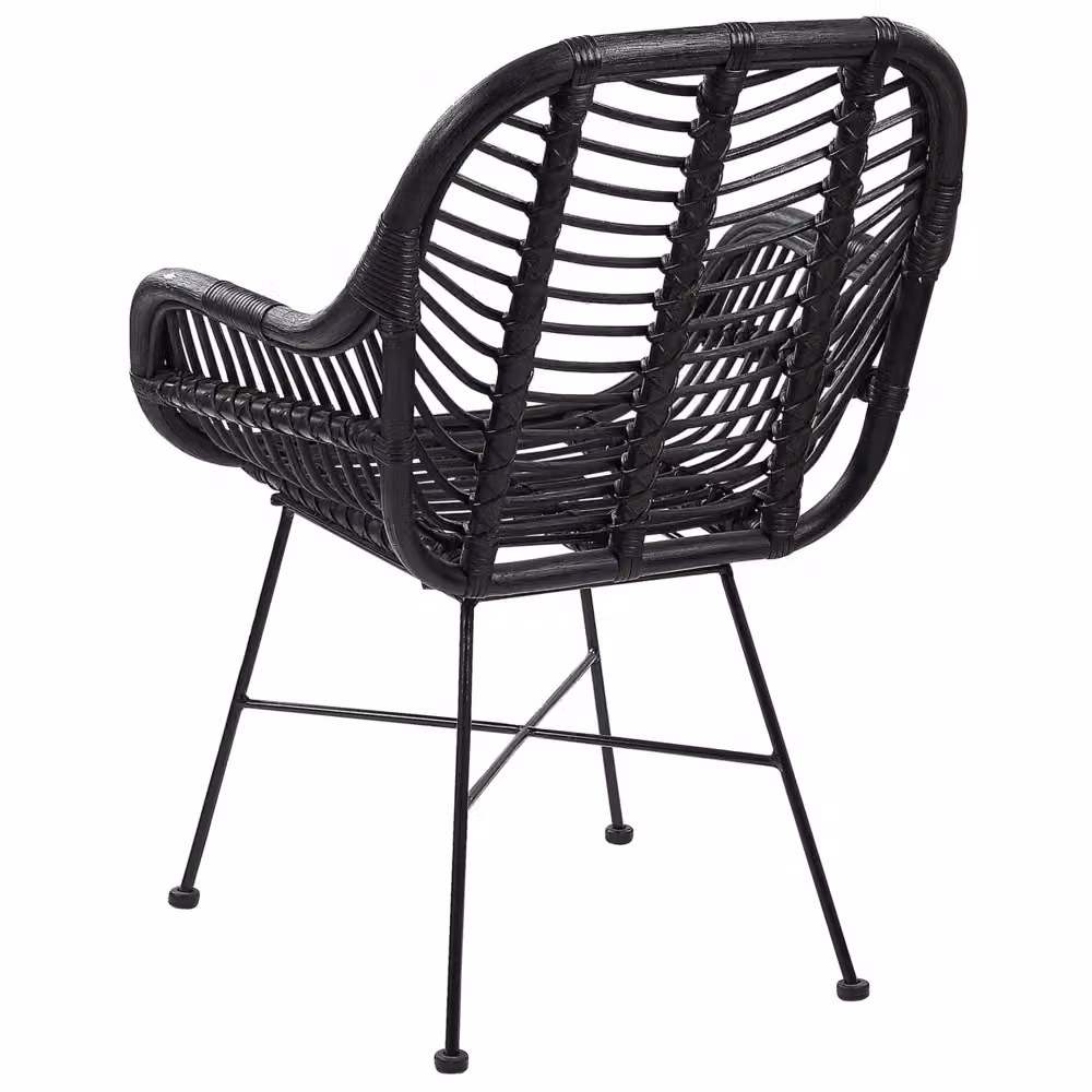 Poltrona moderna in rattan e metallo nero BELIANI con braccioli per soggiorno e sala da pranzo – 2