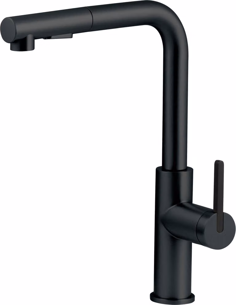 Kitchen faucet with pull-out spout