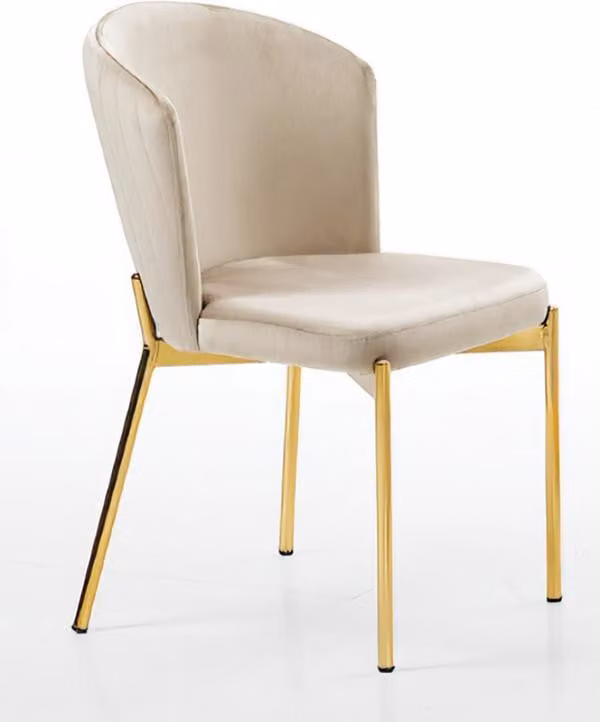 Wohnzimmerstuhl Esszimmerstuhl Polsterstuhl Sessel Beige Holz Edelstahl