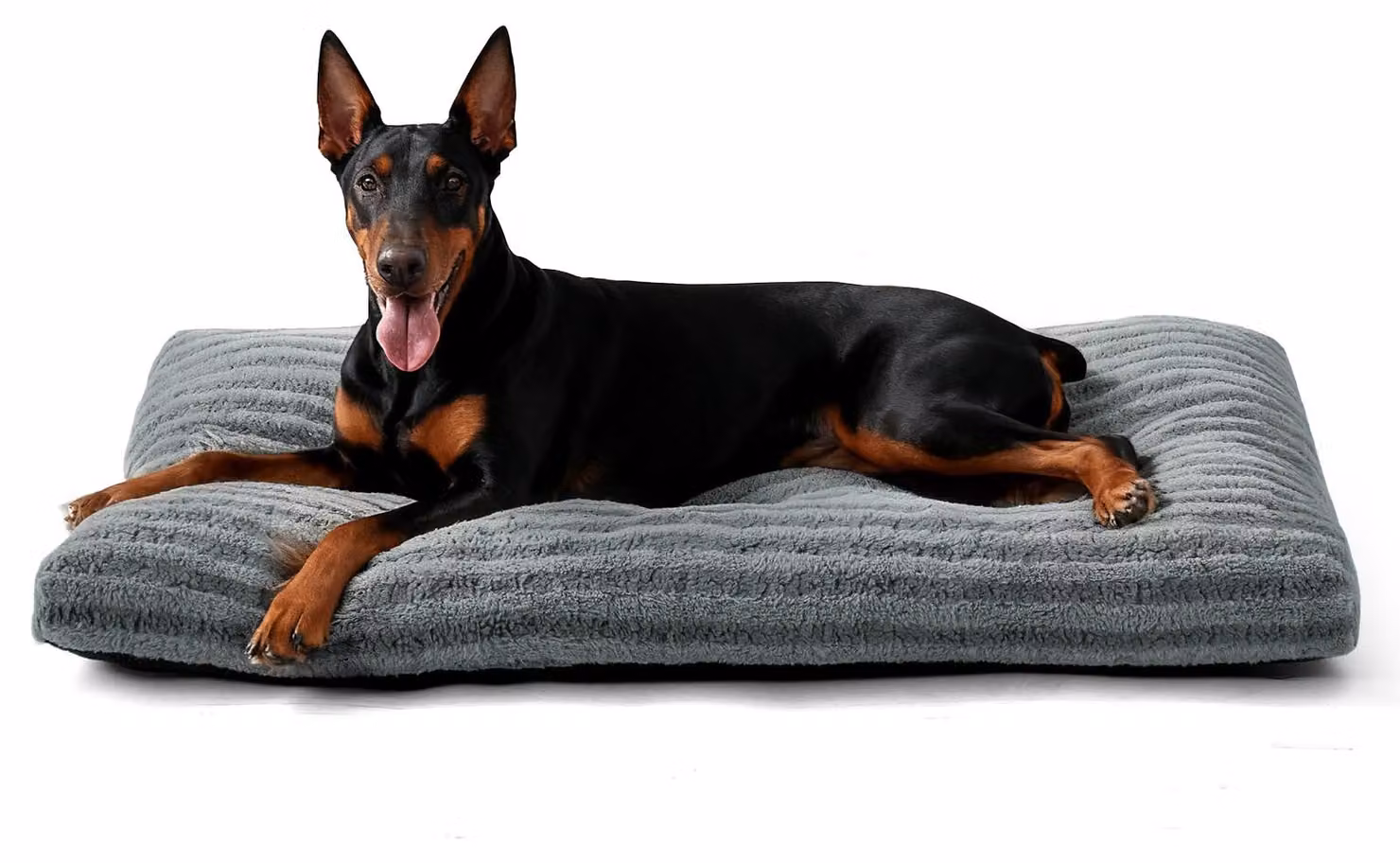 Cuccia per cani XXL, dimensioni 121x75x11 cm, cuscino lavabile, tappetino in peluche, antiscivolo, ideale per cani di grossa taglia
