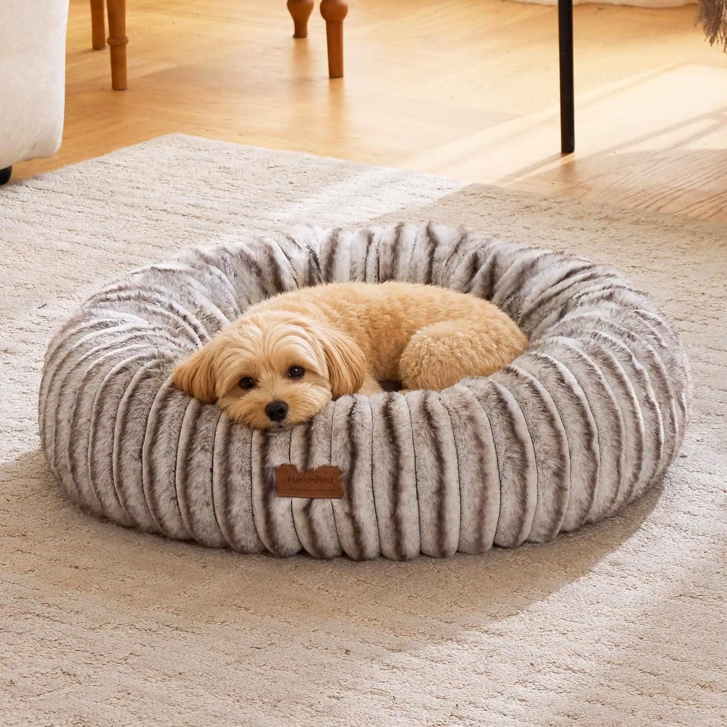 Cuccia ortopedica per cani, lavabile, dimensioni L: 64x64x18 cm, colore marrone
