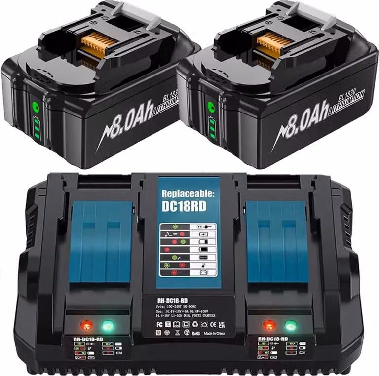 Batteria ricaricabile, capacità 8000mAh, funzioni di sicurezza, caricatore 2x8,0Ah 6A